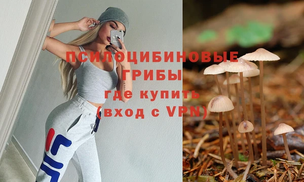 молекула духа Богданович